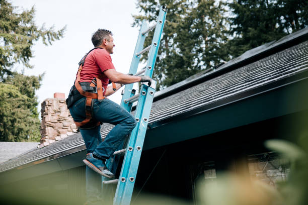 Best Roof Moss and Algae Removal  in San Bruno, CA